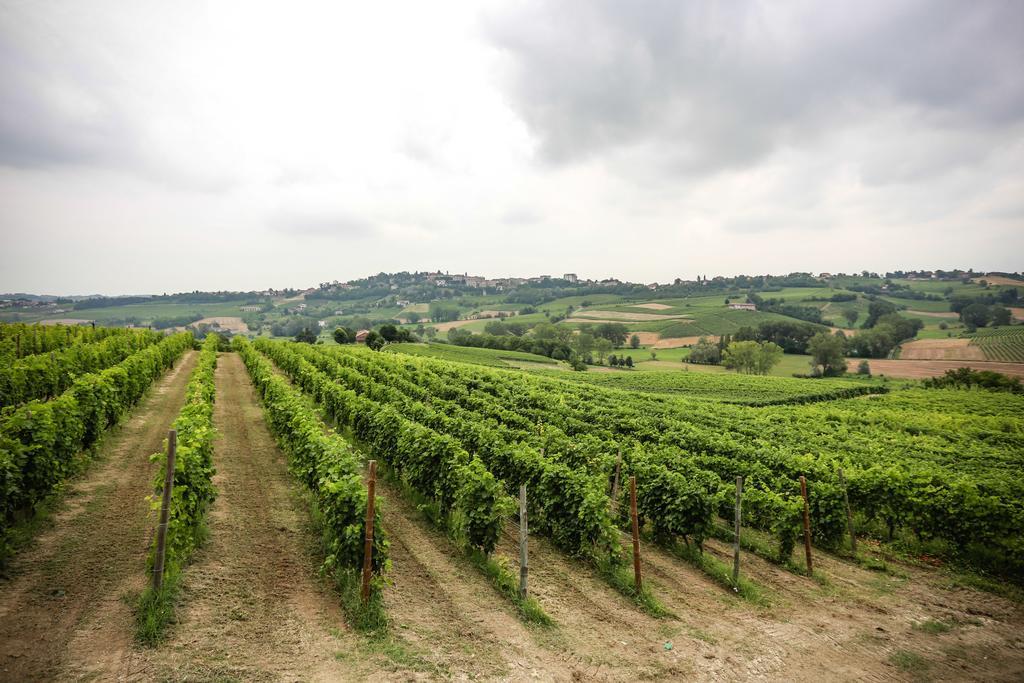 NaturalMente Wine Resort Agliano Terme Exterior foto